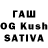 Псилоцибиновые грибы Psilocybine cubensis HOW 23