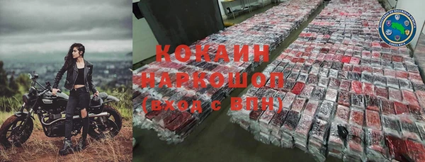 крисы Алзамай