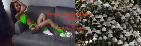 крисы Алзамай