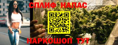 ALPHA PVP Ачхой-Мартан