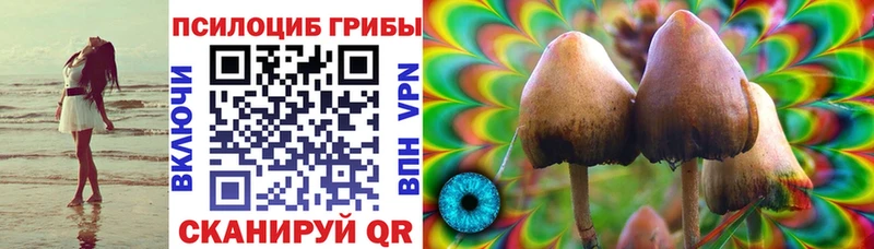 Галлюциногенные грибы GOLDEN TEACHER  omg tor  Асино 