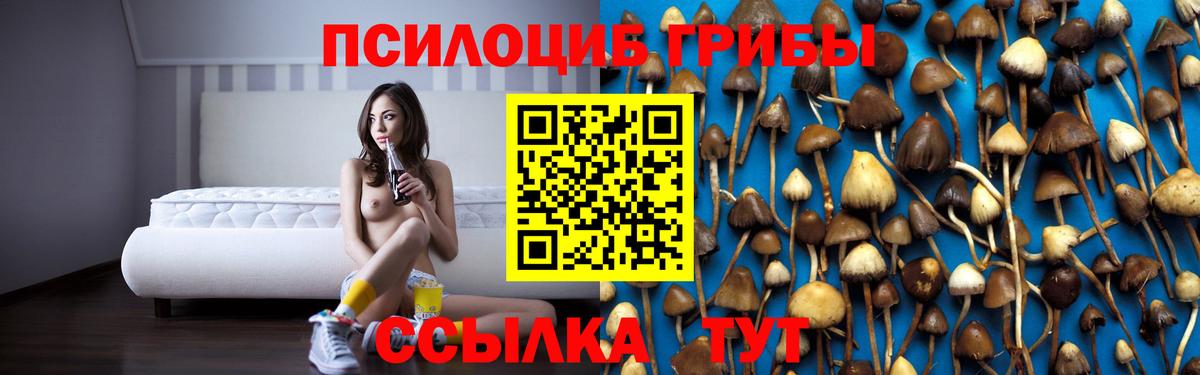 Галлюциногенные грибы GOLDEN TEACHER Асино