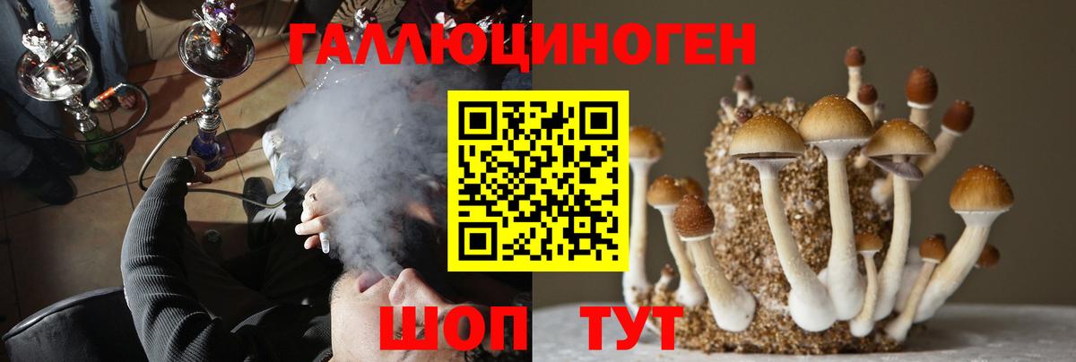 Асино  Галлюциногенные грибы мухоморы  Галлюциногенные грибы мухоморы  Вход с VPN 